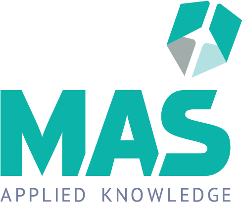 Management Advisory Systems - Management (500x422)