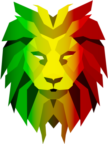Lion Face Png (384x500)
