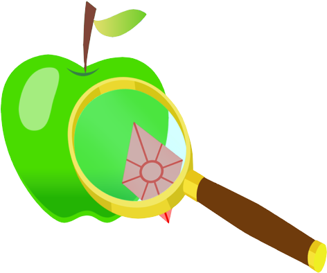 Apple Diamond Cutie Mark 2/6 By Shootingstaryt - Apple Diamond Cutie Mark 2/6 By Shootingstaryt (507x422)