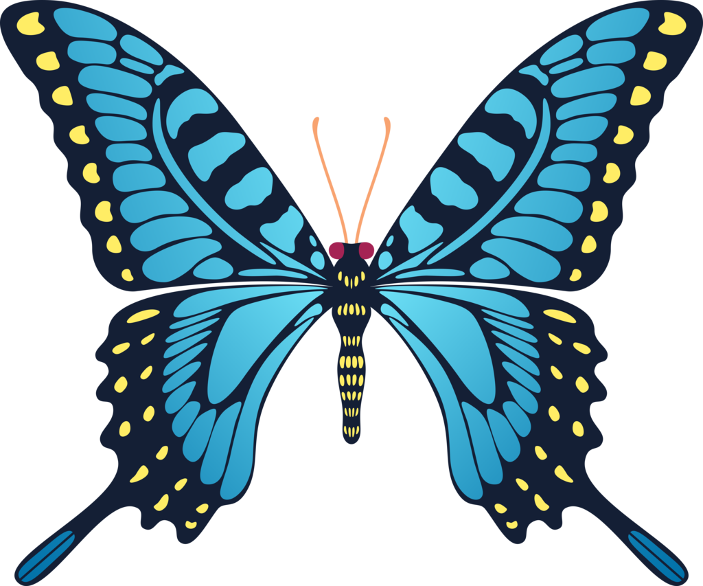 Blue Yellow Butterfly By Cencerberon - Gif Animation Butterfly Flying (1024x853)