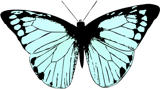 Butterfly Image Black White, Soft Blue Colored Butterfly - Butterfly Wing Black And White (709x496)