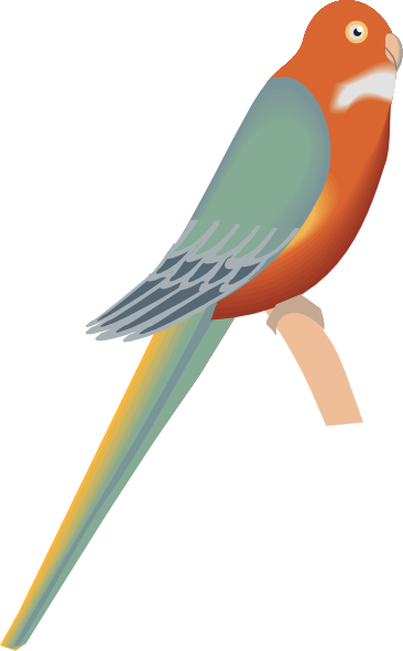 Bird (366x591)