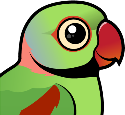 About The Alexandrine Parakeet - Alexandrine Parakeet (440x440)