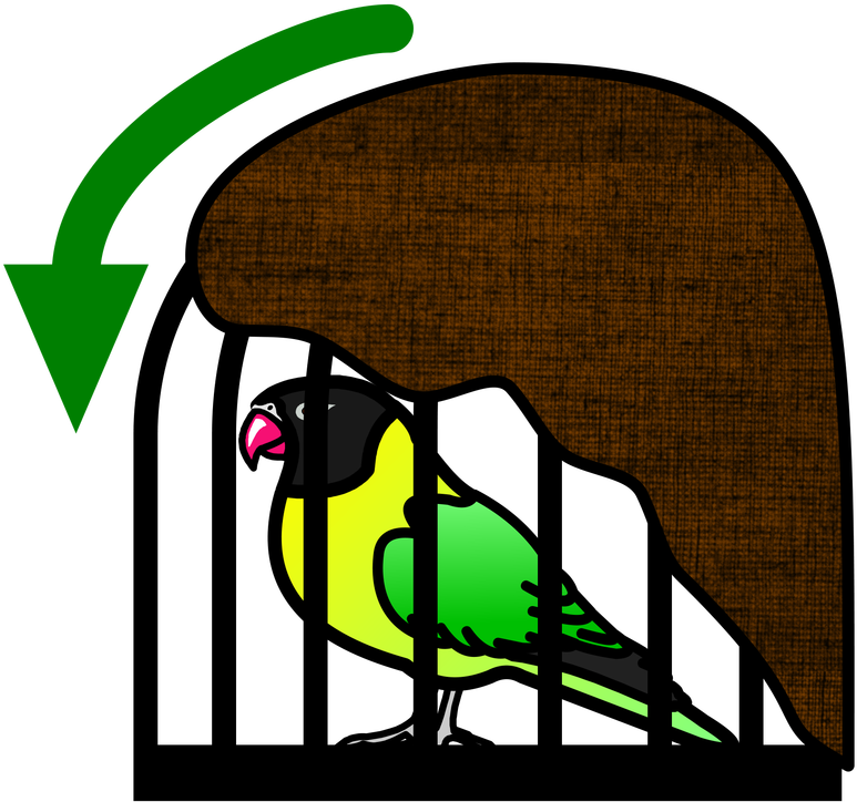 Picture - Parrot (800x800)