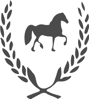 Personal - 4life Award 2017 (430x420)