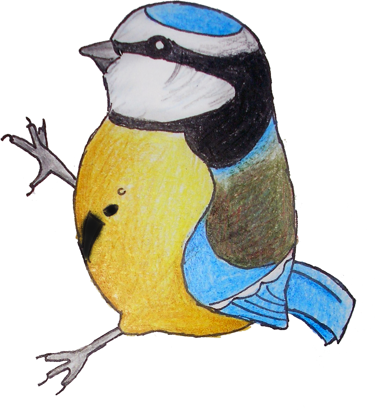 My Mum Loves Birdwatching From Her Conservatory So - Transparent Garden Birds Clipart (1210x1394)