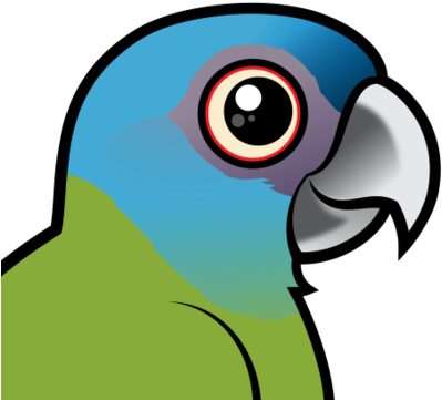 About The Blue-headed Macaw - Blue Headed Mini Macaw (440x440)