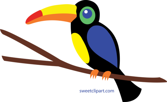 Toucan Clipart Face - Toucan Clipart (600x367)