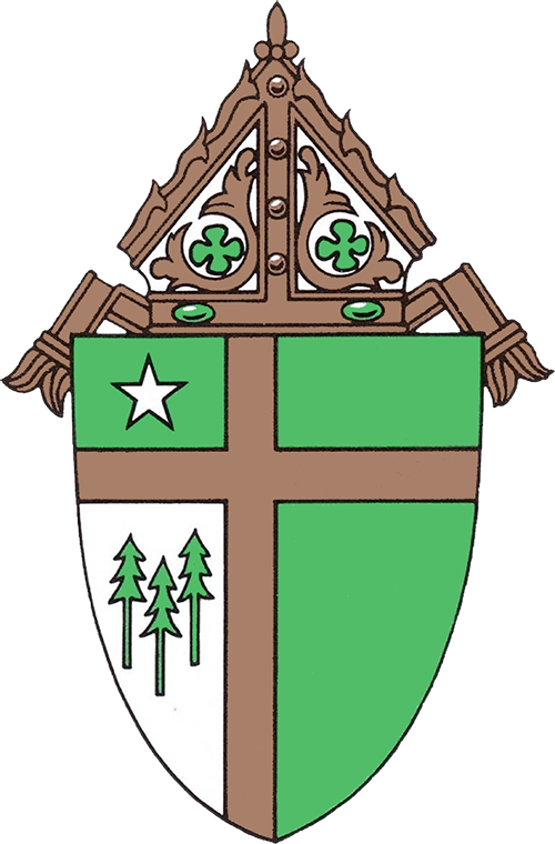 Roman Catholic Diocese Of Tyler (500x760)