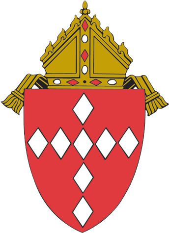 Parish Affiliation - Diocese Of Raleigh Logo (500x500)