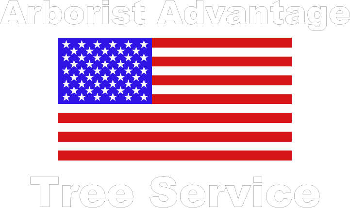 Picture - Black And White American Flag Png (721x430)