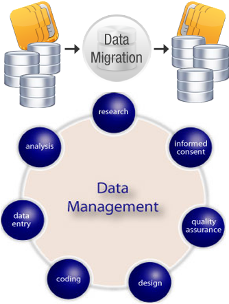 Data Entry - Importance Of Data Management (350x450)
