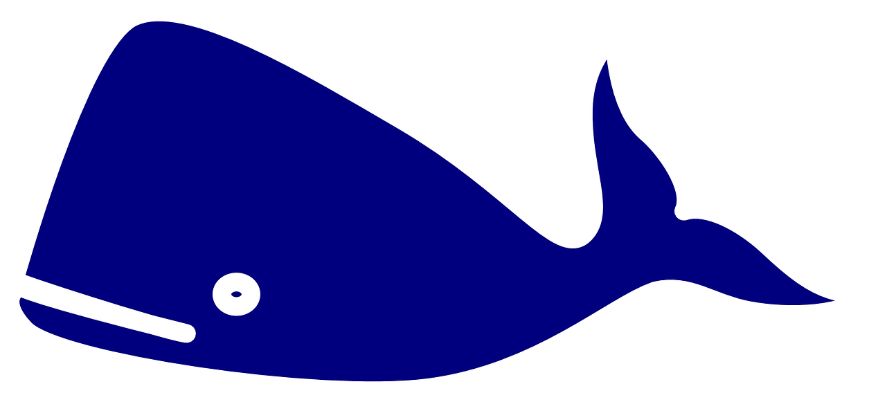 Teacher - - Jonah And The Big Fish Clip Art (1280x640)
