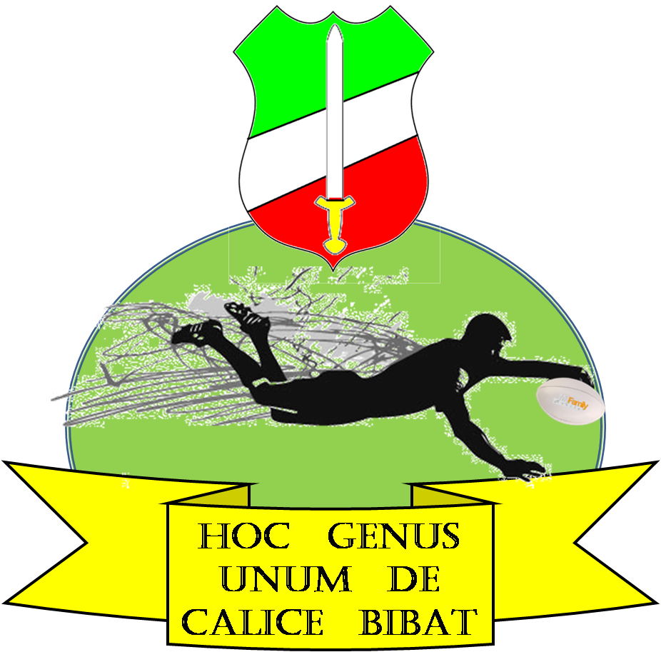 All Rugby Schools Elite Development Programme - Corona School (926x913)