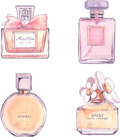 Object Drawing Tumblr - Object Drawings (500x500)