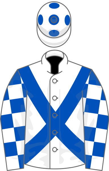 Owner Dab Hand Racing - Owner Dab Hand Racing (384x599)
