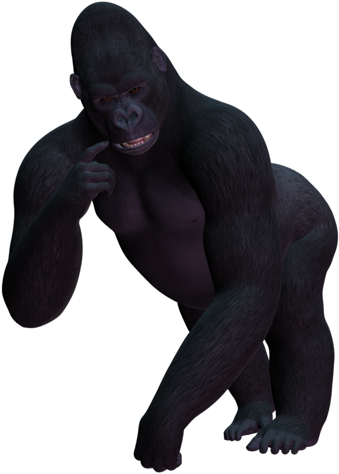 Browse And Download Gorilla Png Pictures Image - Female Gorilla Png (1024x1024)