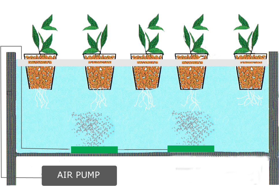 Water Culture System Floating Hydroponic System - Make Hydroponic System Without Pump (1055x684)