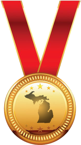 Gold - Tp-link Archer C8 Wireless Ac1750 Dual-band Gigabit (331x583)