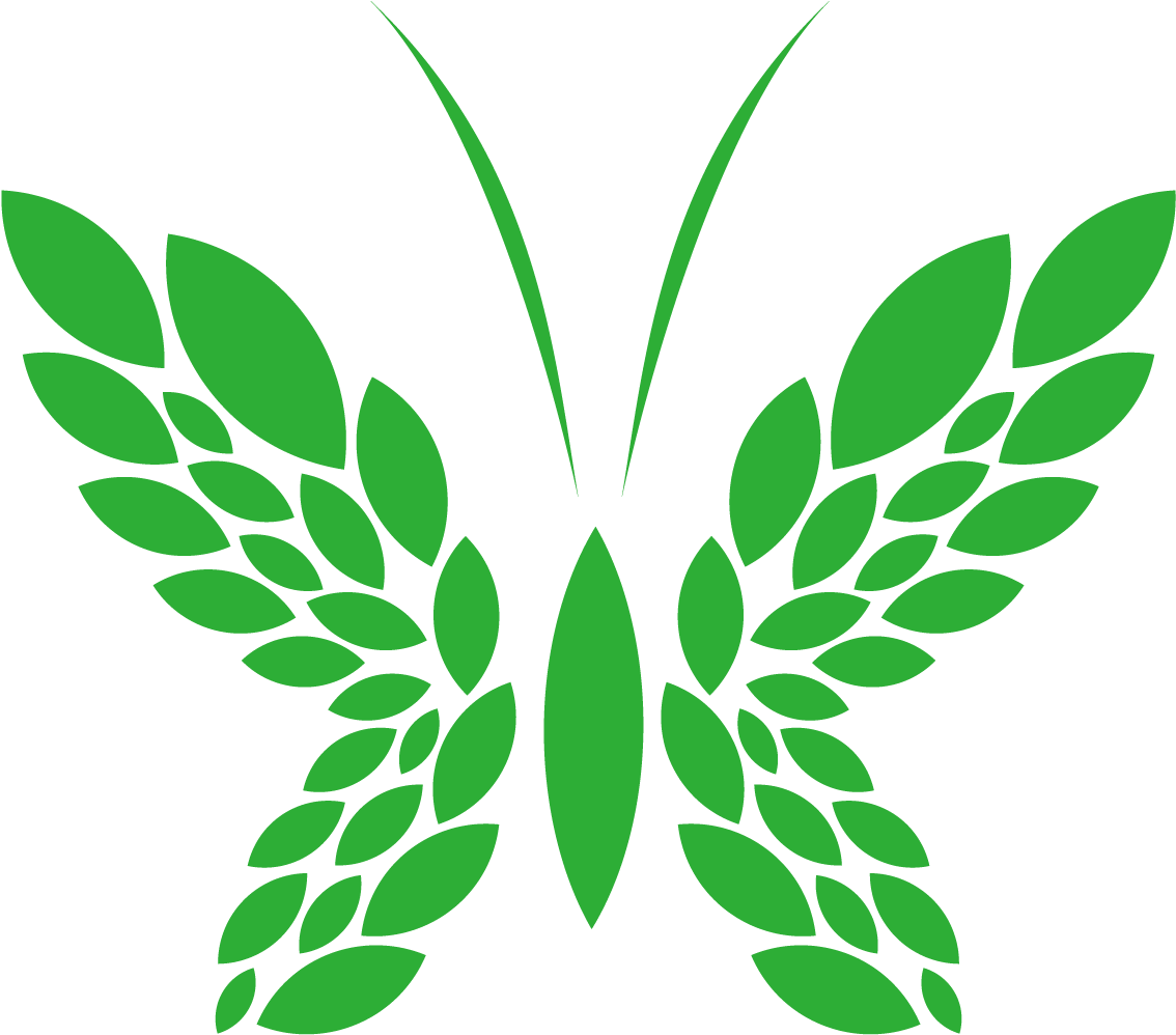 Lyre Laurel Wreath Illustration - Lyre Laurel Wreath Illustration (1181x1181)