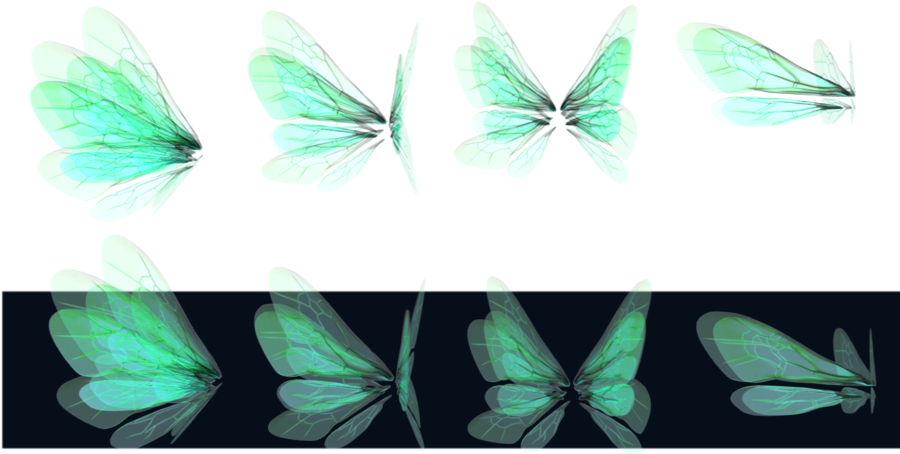 Glowing Wings Png By Mysticmorning - Realistic Fairy Wings Png (900x473)