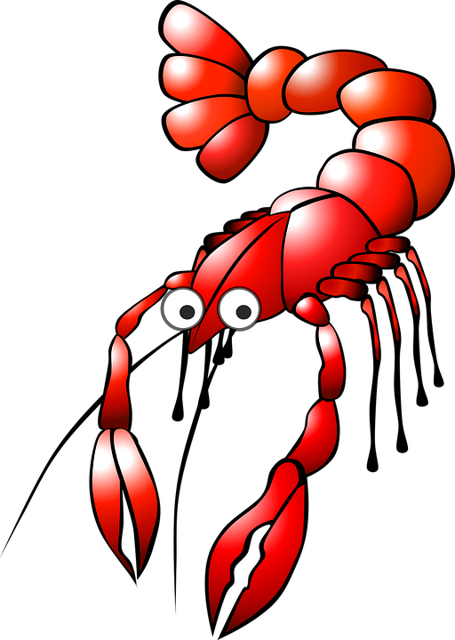 Cartoon Lobster Pictures - Crawfish Clip Art (512x720)