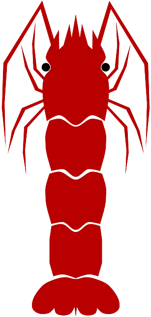 Red Shrimp, Animal, Aqua, Red - Shrimp (320x640)