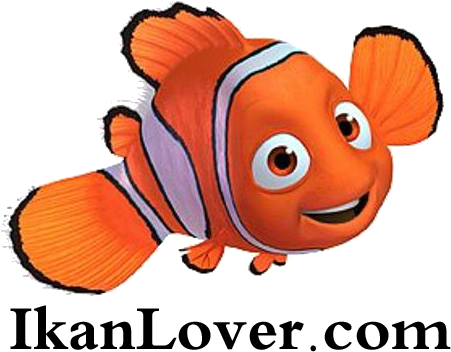 Ikan Cumi Udang Teripang - Global Warming And Fish (459x380)