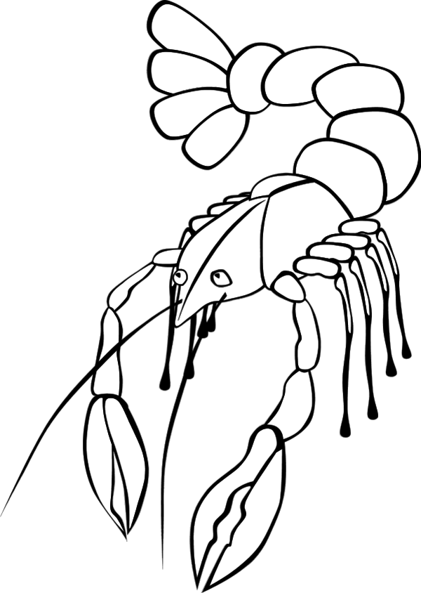 Lobster Clip Art Clipart Library 203635 Crayfish Coloring - Crawfish Clip Art (600x844)