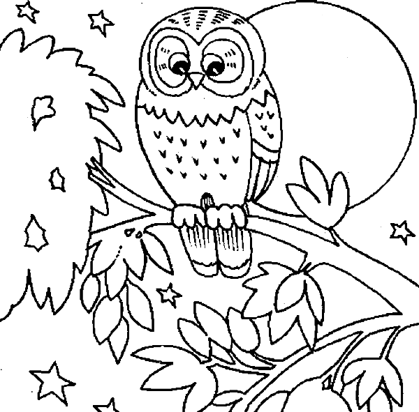 Free Printable Coloring Pages Of Owls - Owls Coloring Pages Printable (600x591)