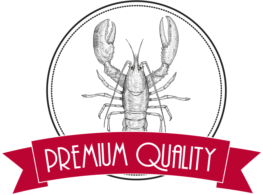 The Gentleman Lobster - Philippians 4 19 Niv (886x694)