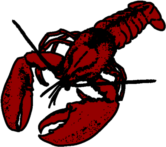 Lobster - Alt Attribute (557x494)
