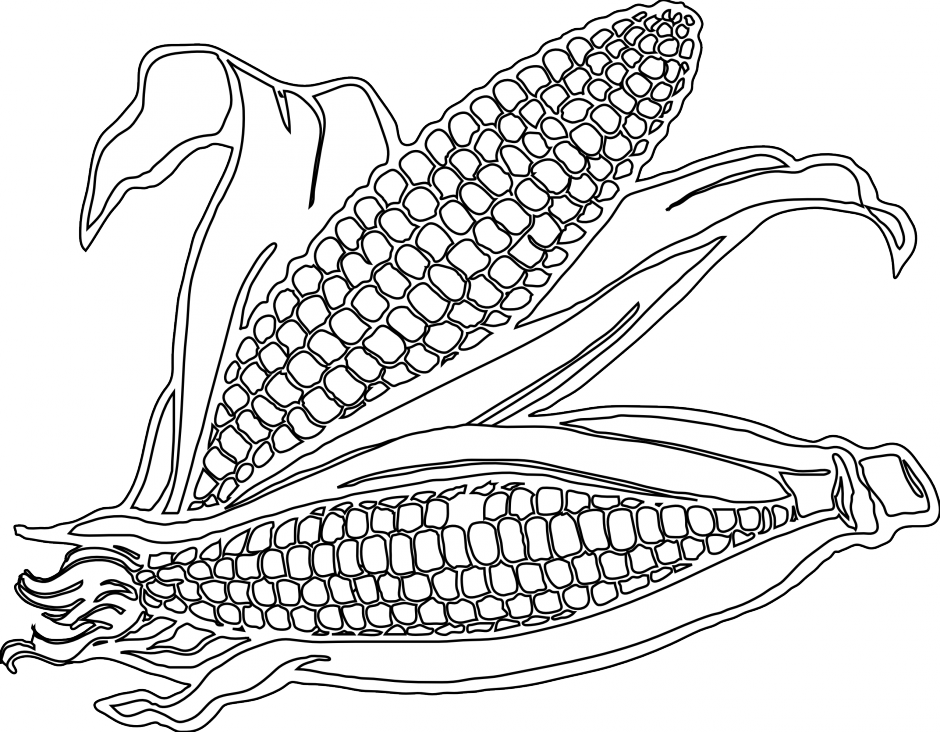 Corn Drawing Image At Getdrawings Com Free For Personal - Free Printable Corn Coloring Pages (940x732)