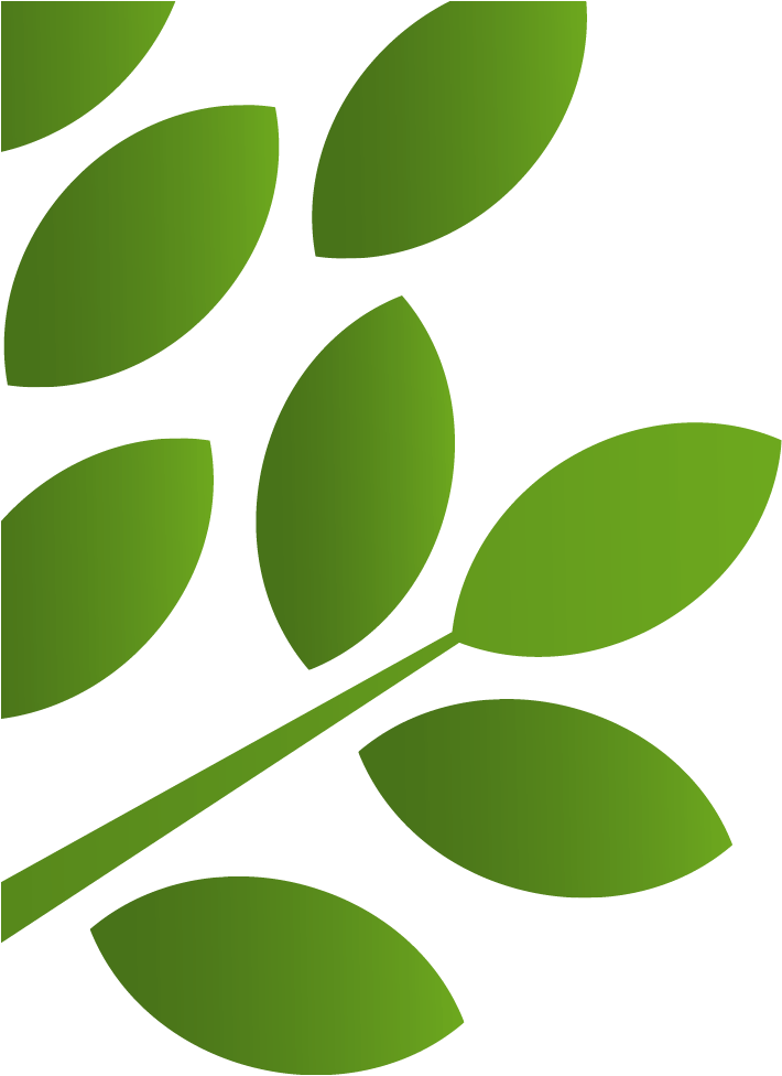 Charlotte Metro Credit Union (748x1074)