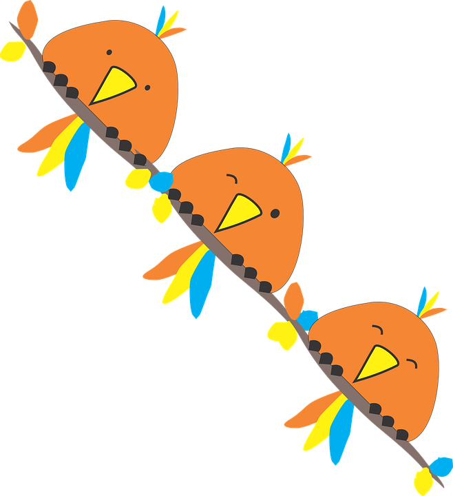 Power Line Clipart Transparent - Birds Line Png (658x720)