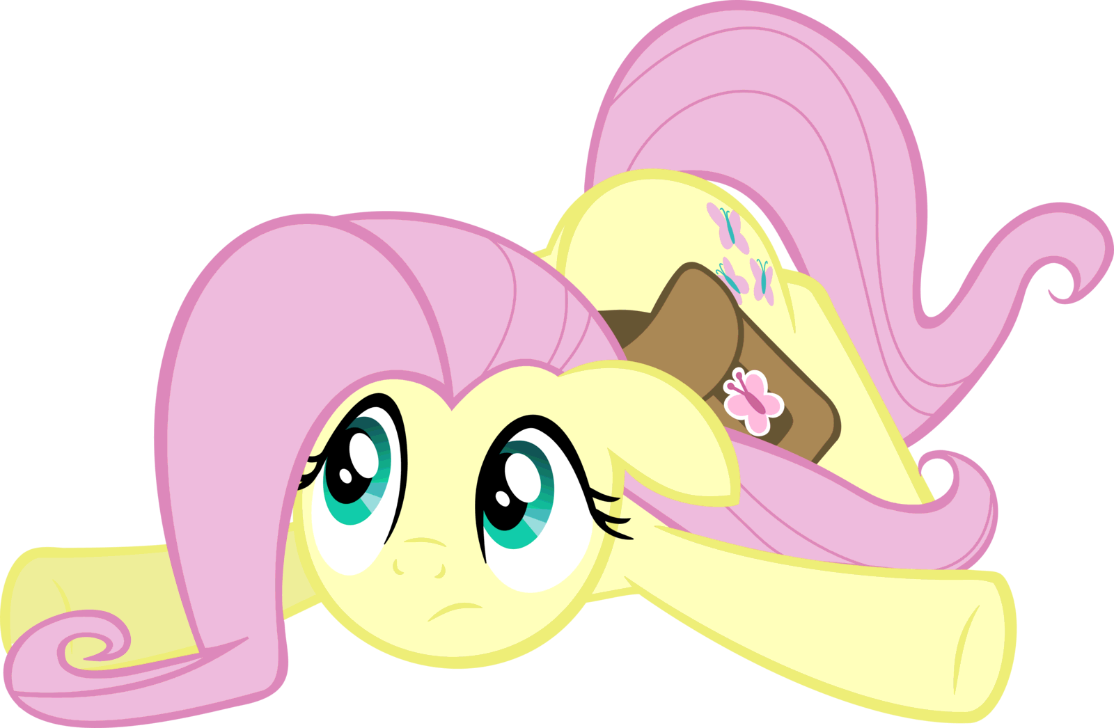To All The People Saying That Rd Isn't Homosex, Just - Fluttershy (1600x1046)