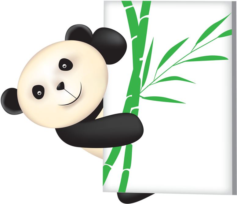 Giant Panda Red Panda Cartoon Illustration - Giant Panda Red Panda Cartoon Illustration (800x684)