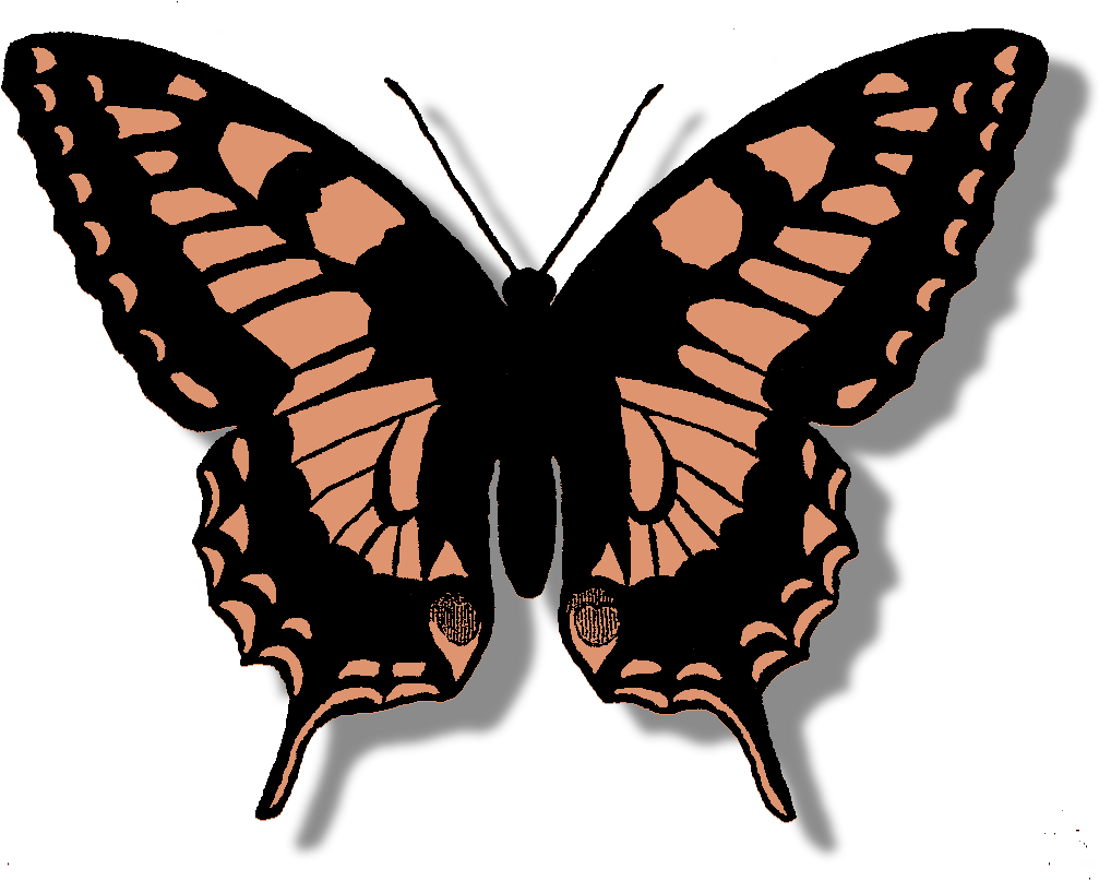 Butterfly Digital Clip Art Download Silhouette - Butterfly Designs For Scrapbook (1073x854)
