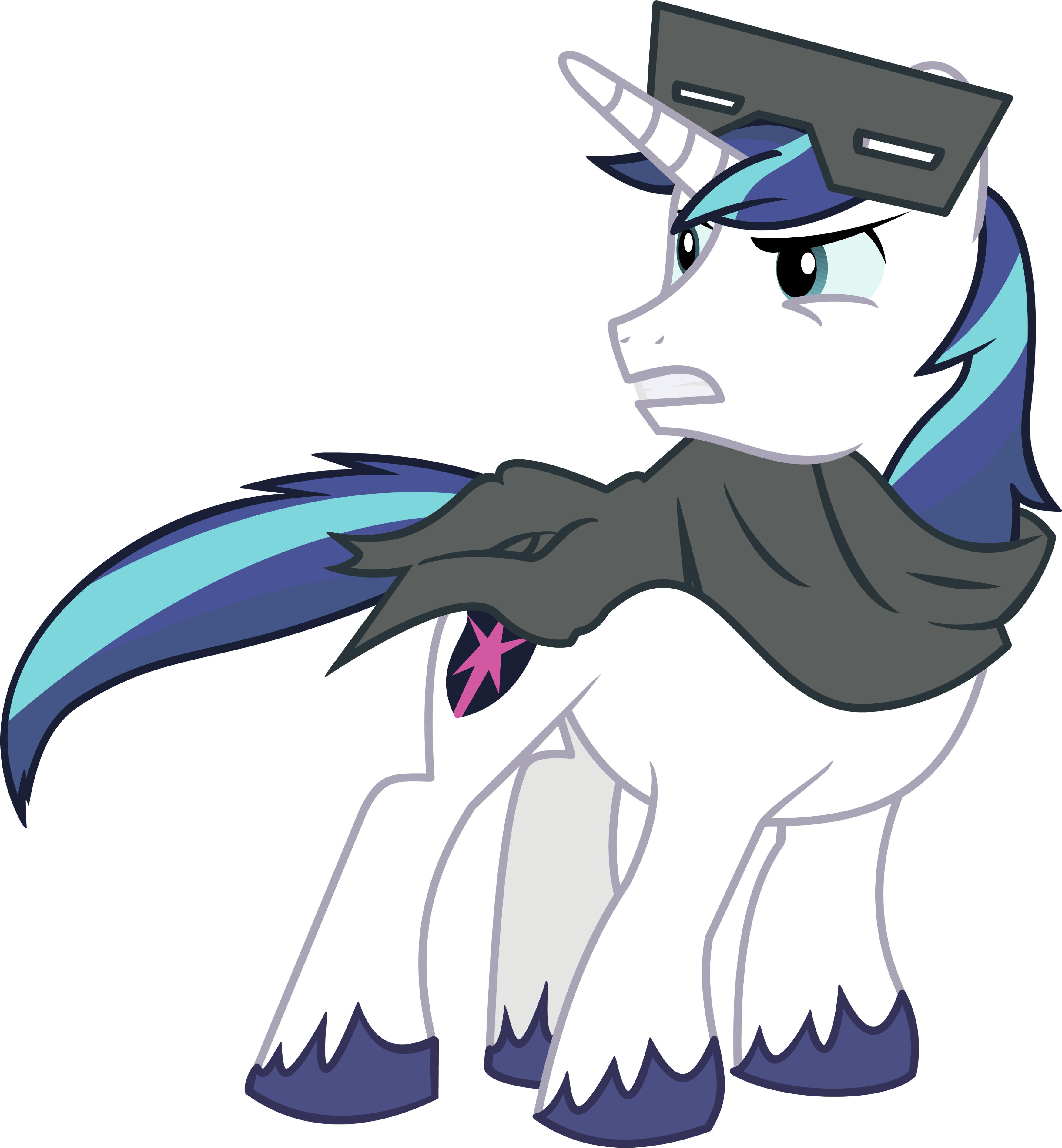 Twilight Sparkle Rarity Rainbow Dash Shining Armor - Shining Armor Winter (3563x3850)