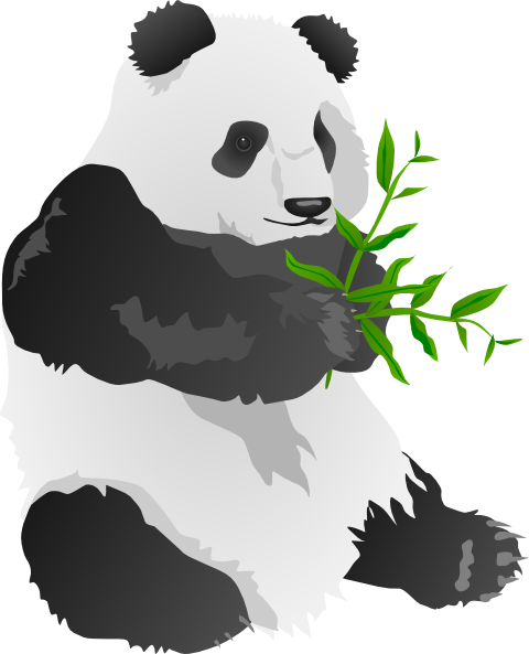 Amazing Inspiration Ideas Panda Bear Clipart Clip Art - Giant Panda (480x593)