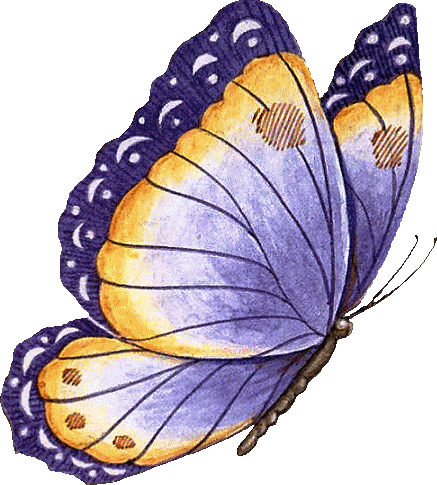 Butterfly - Dessin Pastel Papillon (437x485)