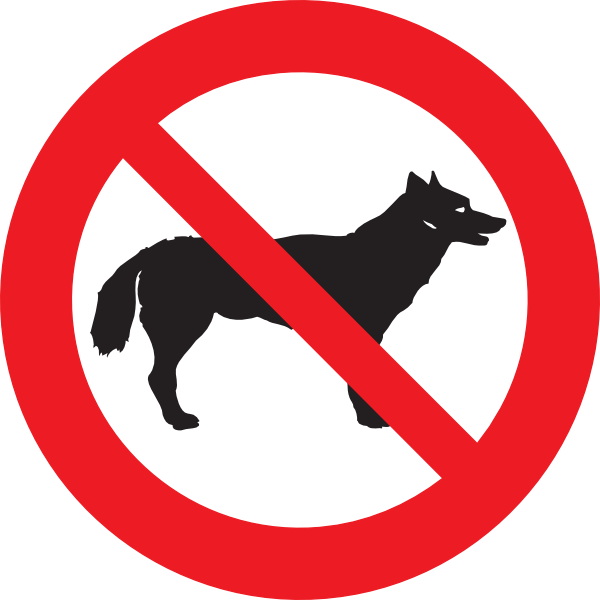 Dog Is Not Allowed (600x600)