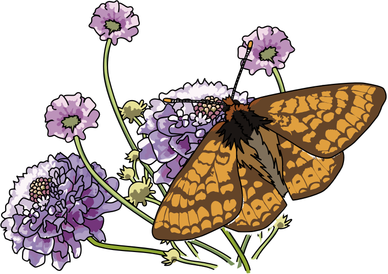 Free To Use & Public Domain Butterfly Clip Art - Custom Monarch Butterfly And Flowers Mugs (758x536)