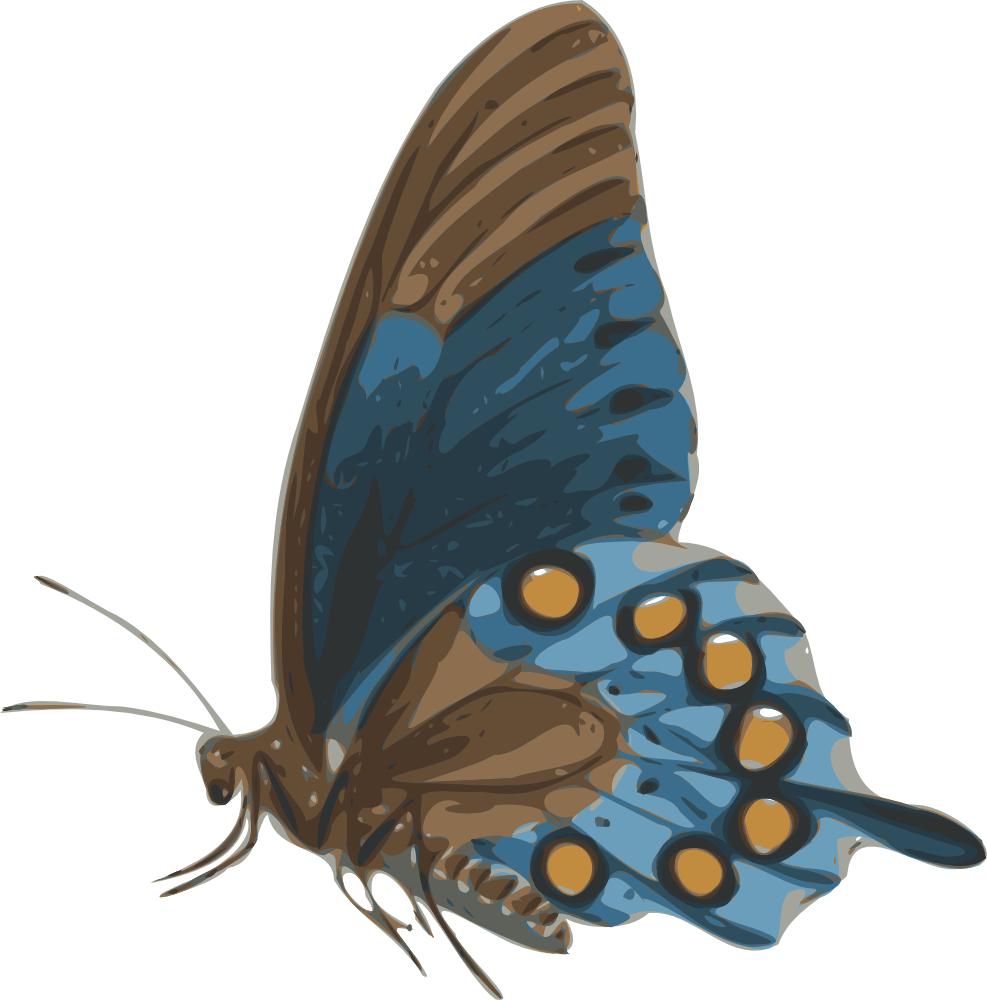 Headshot Silhouette - Butterfly Side View Png (987x1000)