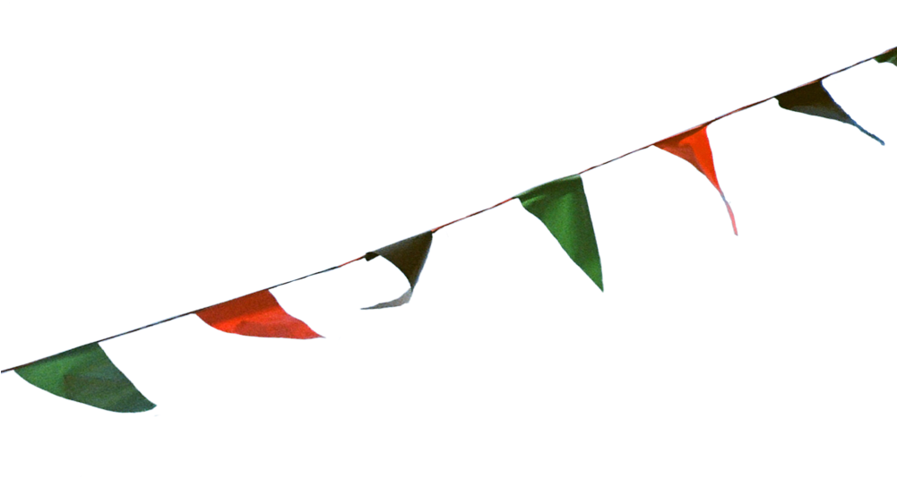 Torrent File (1000x817)