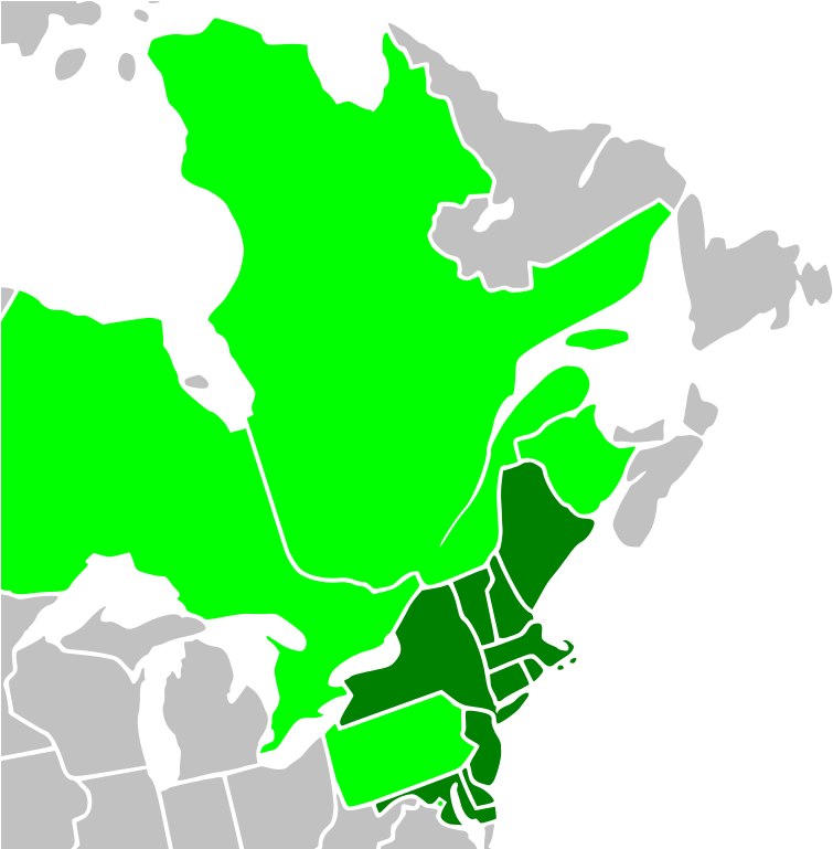 Rggi's Ten Members, Prior To New Jersey's Exit, Are - Arctic Lowlands (777x768)