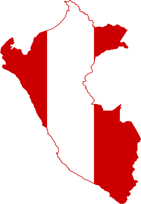 Petrochina Buying Petrobras Peru Unit For $2 - Peru Flag Map (555x802)