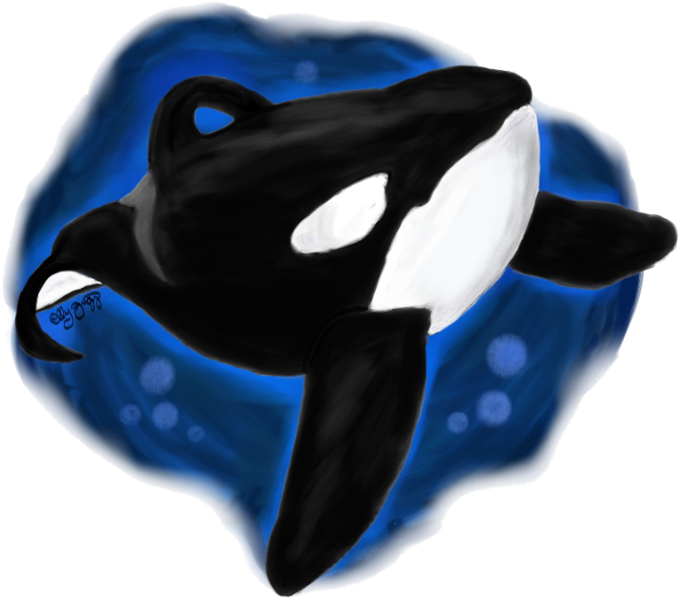 Seaworld Orlando Drawing Shamu Clip Art - Seaworld Orlando Drawing Shamu Clip Art (900x720)