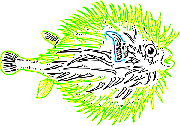 Blowfish Coloring Page (600x419)