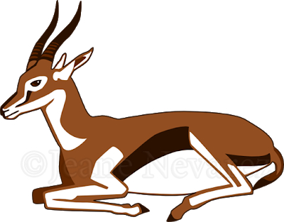 Thompson's Gazelle - Thompson's Gazelle (400x313)